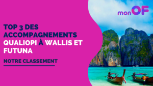 Lire la suite à propos de l’article Les 3 meilleurs accompagnements Qualiopi à Wallis et Futuna