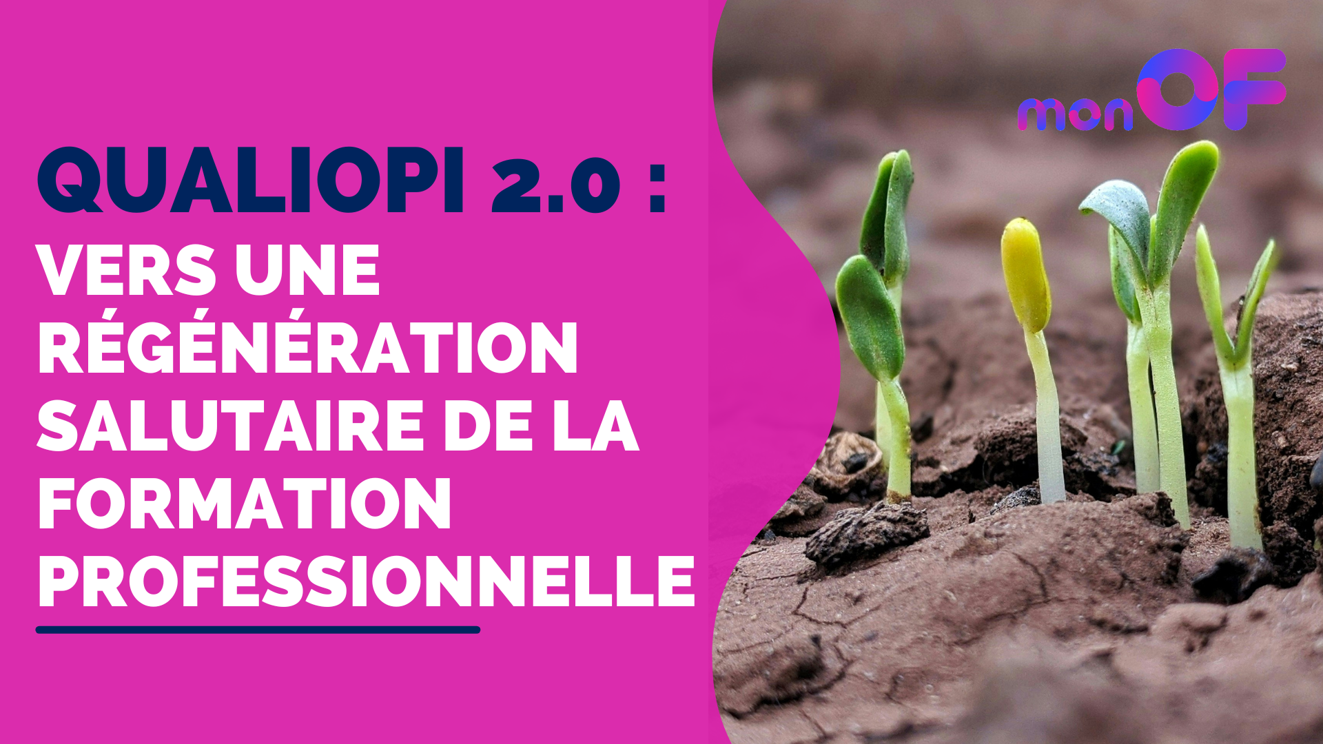 You are currently viewing Qualiopi 2.0 : vers une régénération salutaire de la formation professionnelle